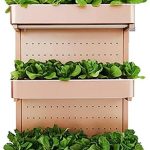 Hydroponic Growing Kits 3 Floor