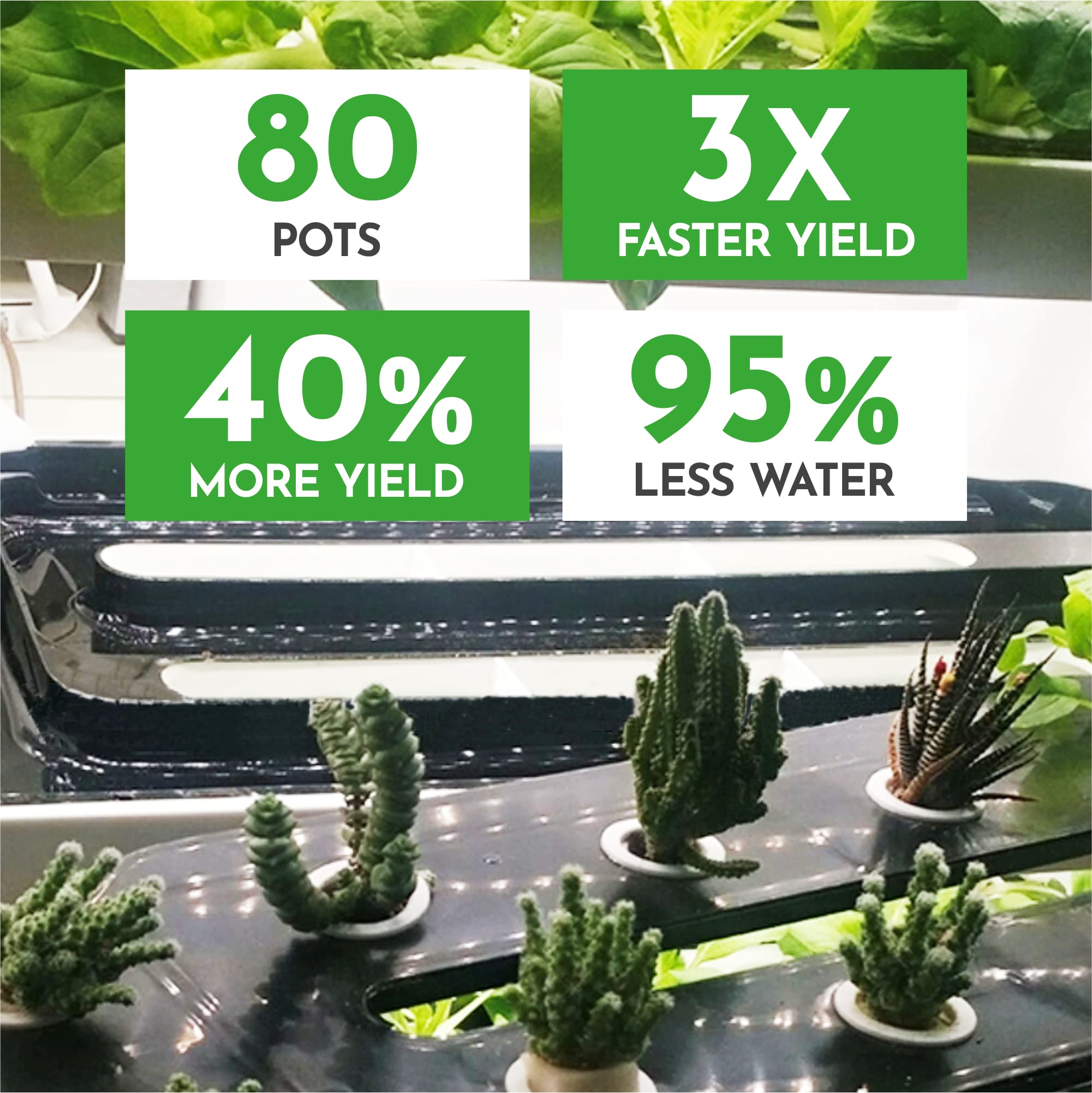 Nutraponics Hydroponics System - Image 5