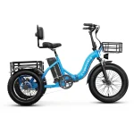 Electric Tricycle for Adults(Removable Battery with Cargo for Women Men)